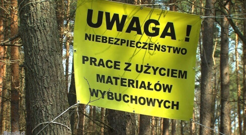 Granat na działce