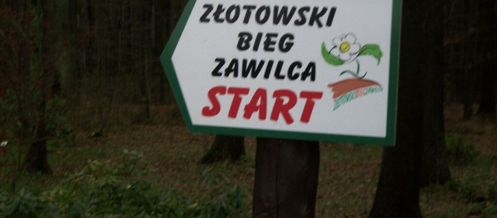 Na miarę sił