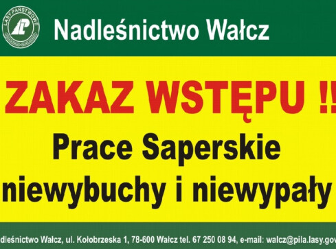 Czego saperzy szukają w wałeckich lasach? Zakaz wstępu! - grafika