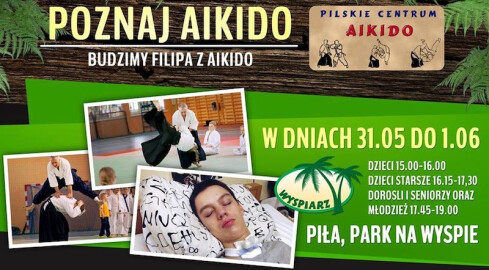 Aikido na pilskiej Wyspie - grafika