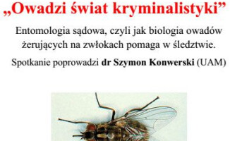 Piła stolicą kryminału