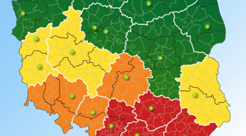 To już chyba ostatni raz w tym roku - grafika