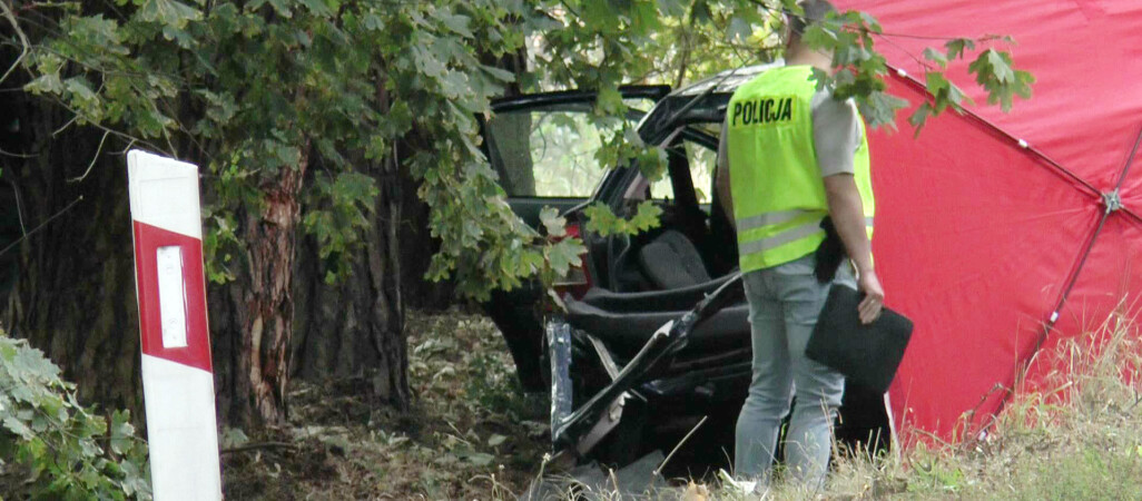 Wracamy do naszych publikacji