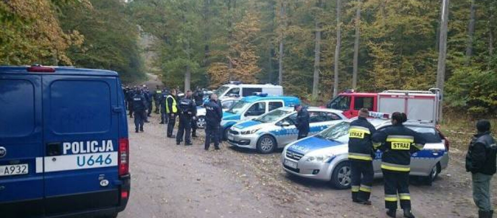 Szczęśliwy finał poszukiwań. 81-latek odnaleziony w lesie