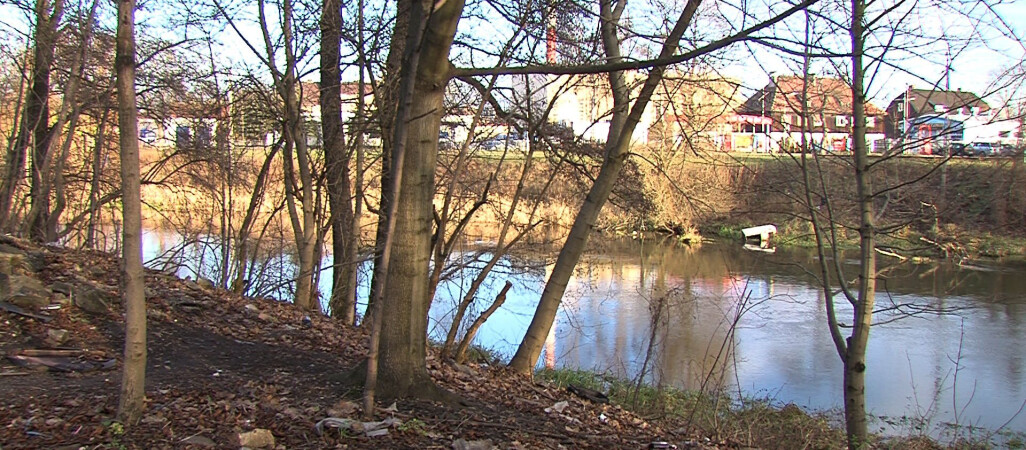 VIVO odbuduje przystań