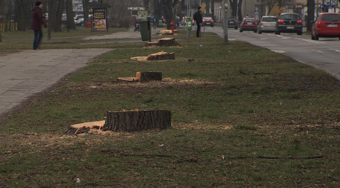 Ruszyły remonty dróg w Pile - grafika