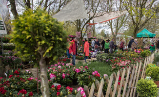 Zobacz fotorelację z targów Miasto i Ogród 2016