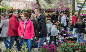 Zobacz fotorelację z targów Miasto i Ogród 2016