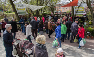 Zobacz fotorelację z targów Miasto i Ogród 2016