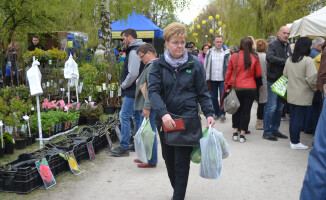 Zobacz fotorelację z targów Miasto i Ogród 2016