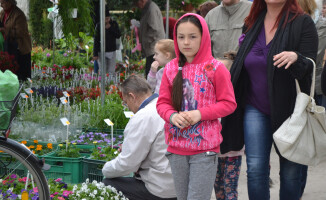 Zobacz fotorelację z targów Miasto i Ogród 2016