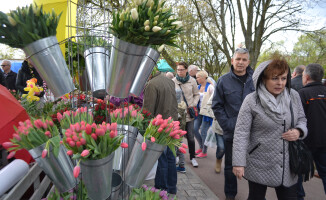 Zobacz fotorelację z targów Miasto i Ogród 2016