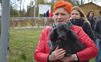 Zobacz fotorelację z targów Miasto i Ogród 2016