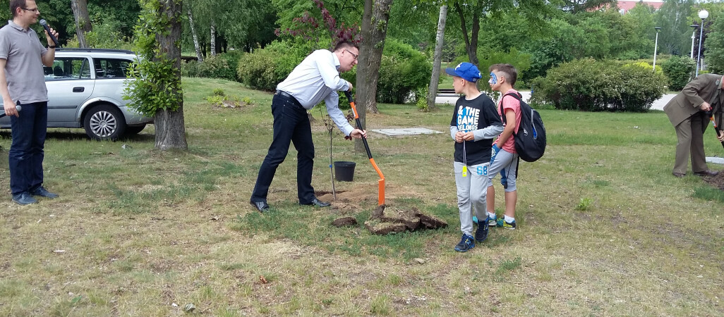 Eko-Faktura Eko-Wybór, sadzimy kolejne drzewa!