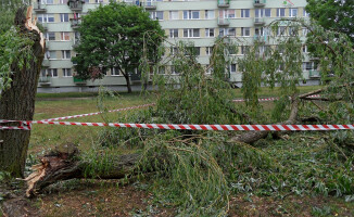 Nawałnica połamała drzewa i zerwała dachy