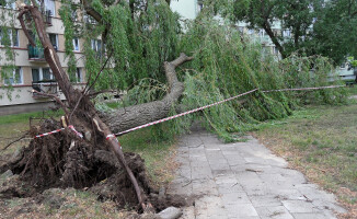 Nawałnica połamała drzewa i zerwała dachy