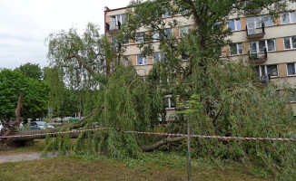 Nawałnica połamała drzewa i zerwała dachy