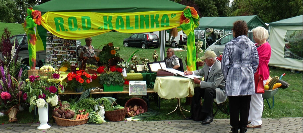 Korso 2016, czyli wystawa działkowców na Wyspie