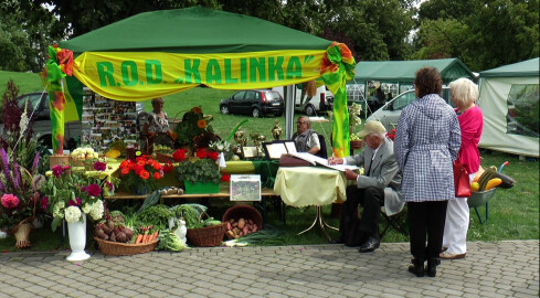 Korso 2016, czyli wystawa działkowców na Wyspie - grafika