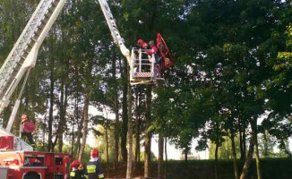 Paralotniarz wpadł na drzewo. Ratowali go strażacy