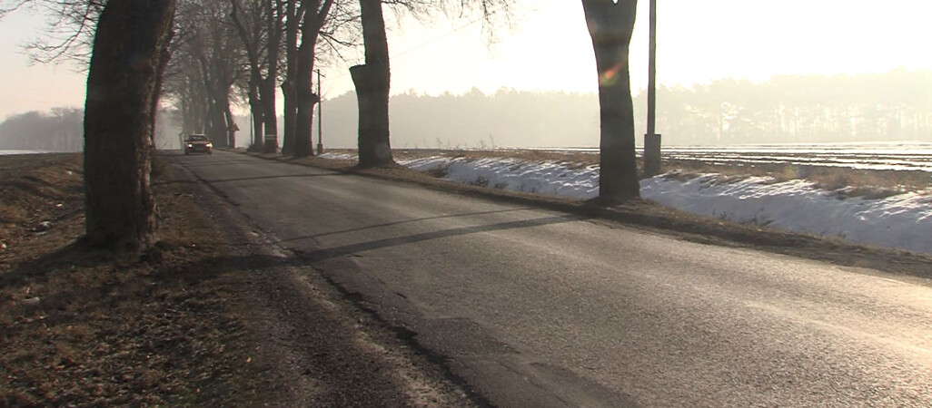 Ekolodzy blokują remont drogi w Krajence