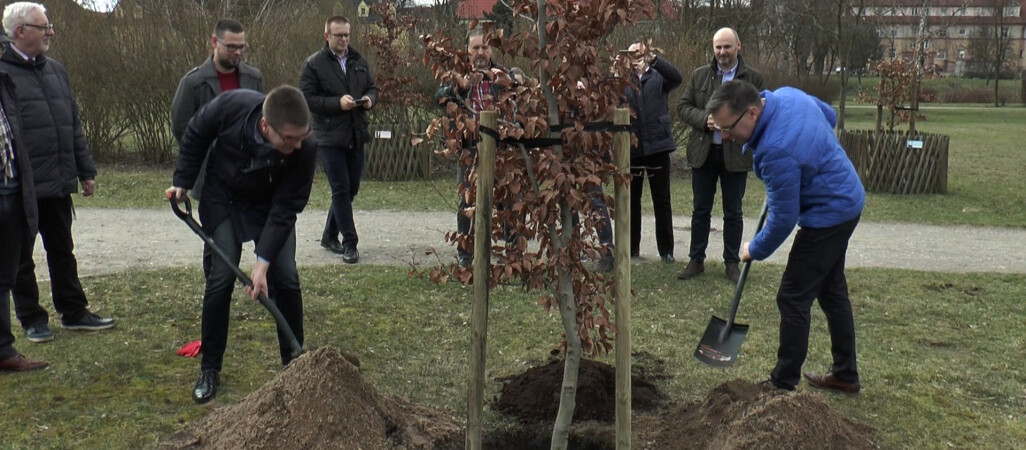 Drzewko Agnieszki Holland zostało posadzone