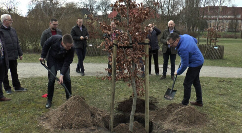 Drzewko Agnieszki Holland zostało posadzone - grafika