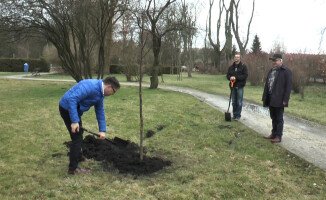 Drzewko Agnieszki Holland zostało posadzone