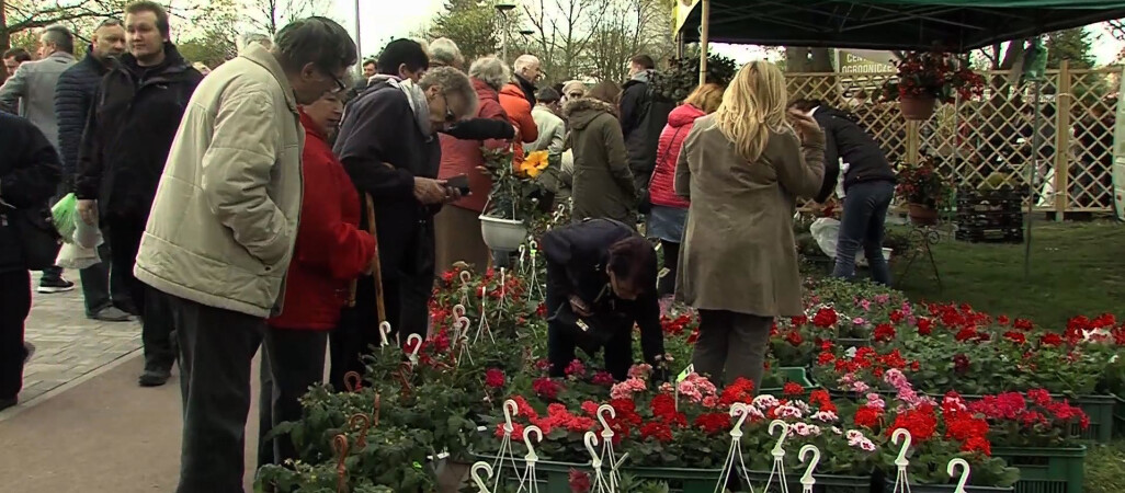 Wkrótce Agro Targi i wystawa Miasto-Ogród