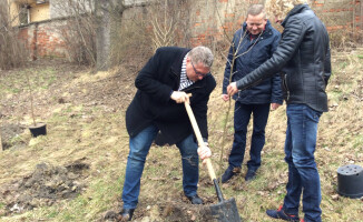 Ludowcy sadzą drzewa - odpowiedź na "lex Szyszki"