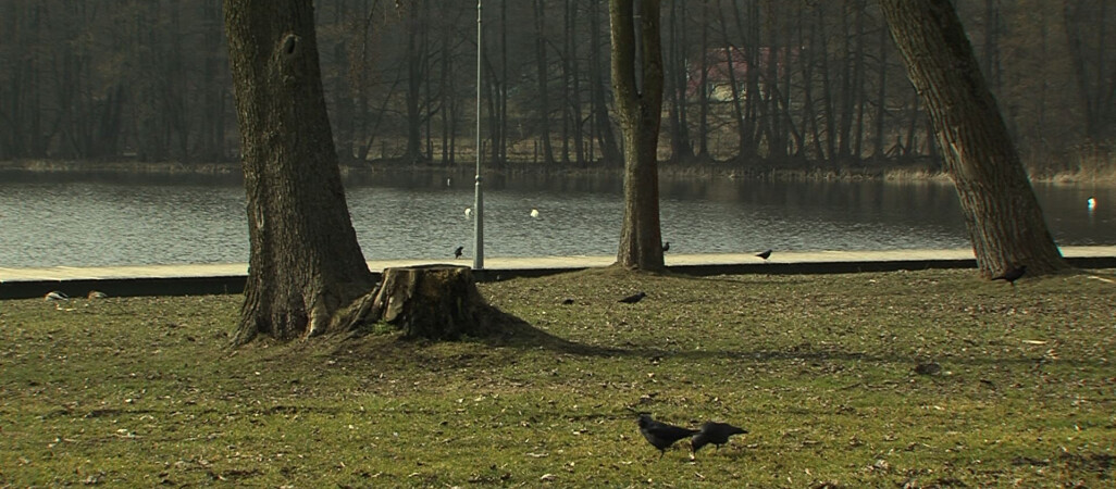 Kino letnie w Złotowie? Zależy od mieszkańców