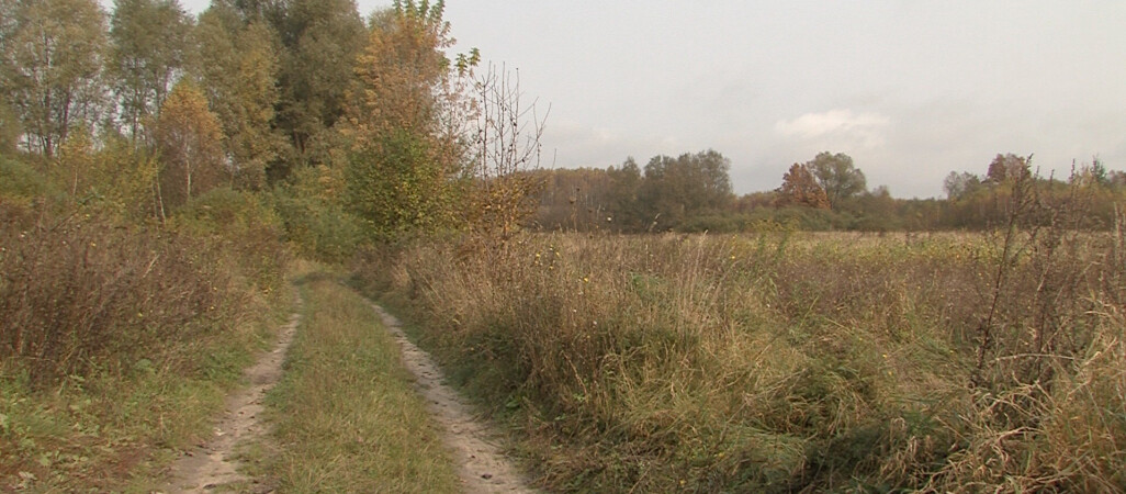 Strefa ekonomiczna w Wałczu się rozbudowuje