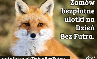 W sobotę happening na deptaku - Dzień Bez Futra