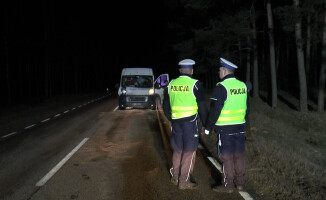 Łoś zginął pod kołami busa [GALERIA]