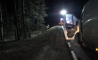 Łoś zginął pod kołami busa [GALERIA]