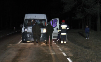 Łoś zginął pod kołami busa [GALERIA]