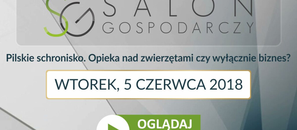 Salon Gospodarczy o pilskim schronisku na żywo w TV ASTA