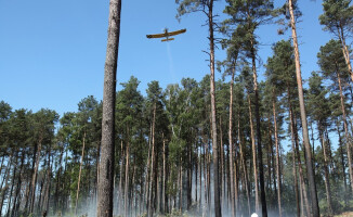 Pożar lasu koło Starej Łubianki