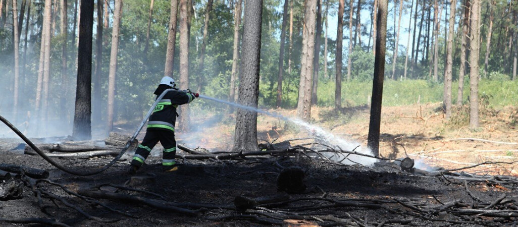 Pożar lasu koło Starej Łubianki