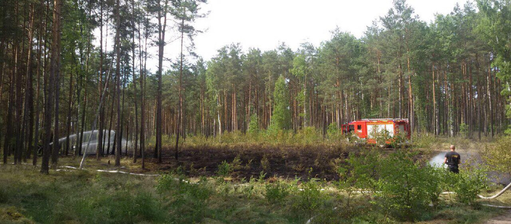 Płotki: spłonęło niemal pół hektara młodnika