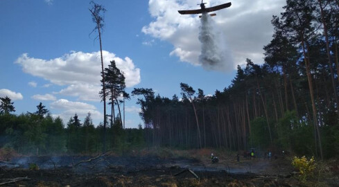 Dwa groźne pożary lasu w gminie Margonin - grafika