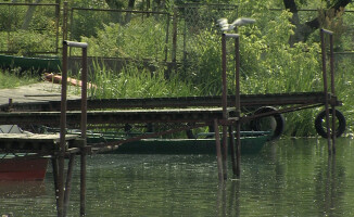 Zakaz kąpieli w jeziorze Zamkowym