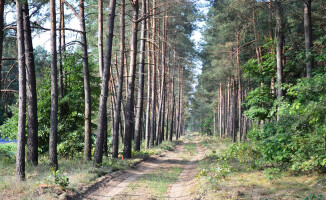 Powstają ścieżki rowerowe do Dobrzycy i Kaczor