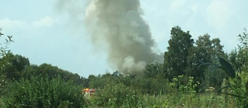 Pożar na działkach w Pile