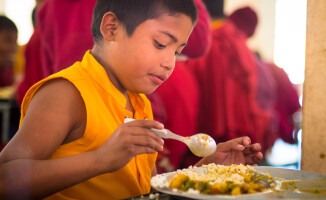 Zobaczcie jak wygląda życie małych lamów w Nepalu