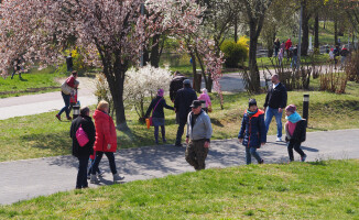 Poszukiwanie jajek na Wyspie [GALERIA ZDJĘĆ]