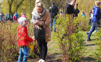 Poszukiwanie jajek na Wyspie [GALERIA ZDJĘĆ]