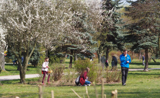 Poszukiwanie jajek na Wyspie [GALERIA ZDJĘĆ]