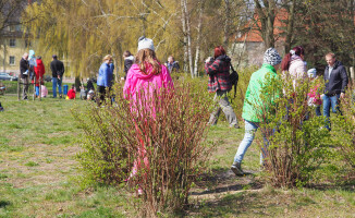 Poszukiwanie jajek na Wyspie [GALERIA ZDJĘĆ]