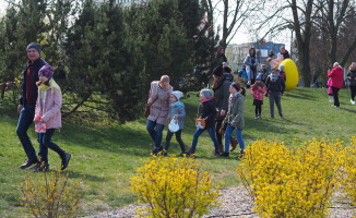 Poszukiwanie jajek na Wyspie [GALERIA ZDJĘĆ]